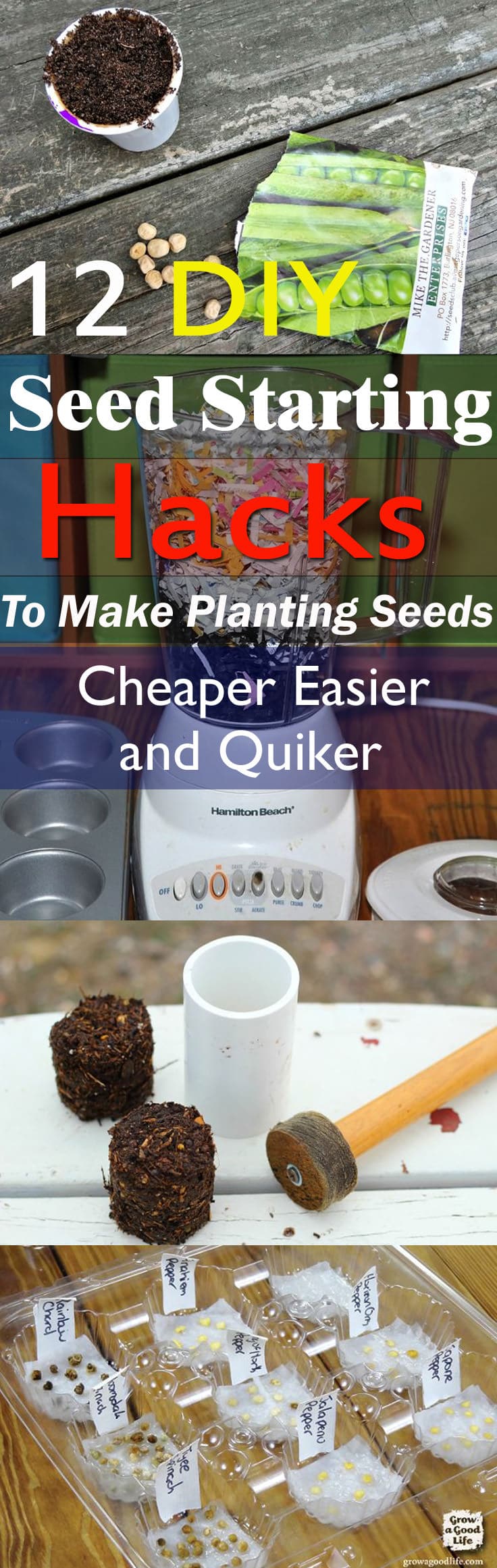 12 DIY Seed Starting Hacks To Make Planting Seeds Cheaper, Easier and ...