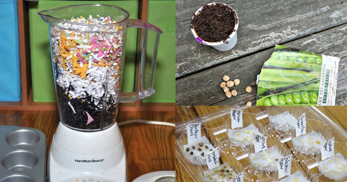 12 DIY Seed Starting Hacks To Make Planting Seeds Cheaper, Easier and ...