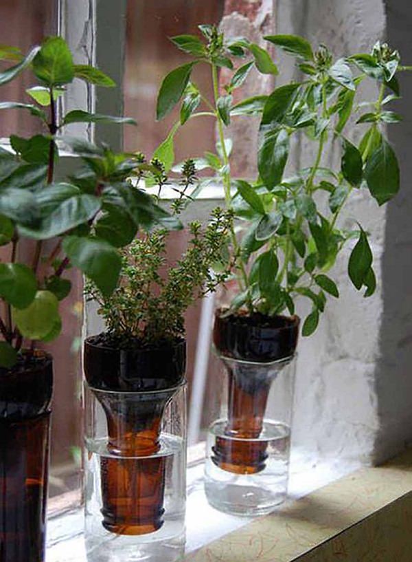 14 Best DIY Self-Watering Container Garden Ideas | Balcony Garden Web