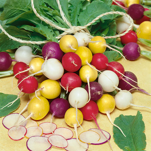 top Most Colorful Vegetables