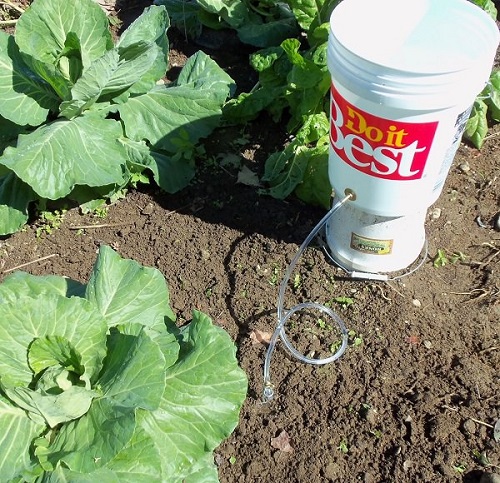 DIY Bucket Drip Irrigation
