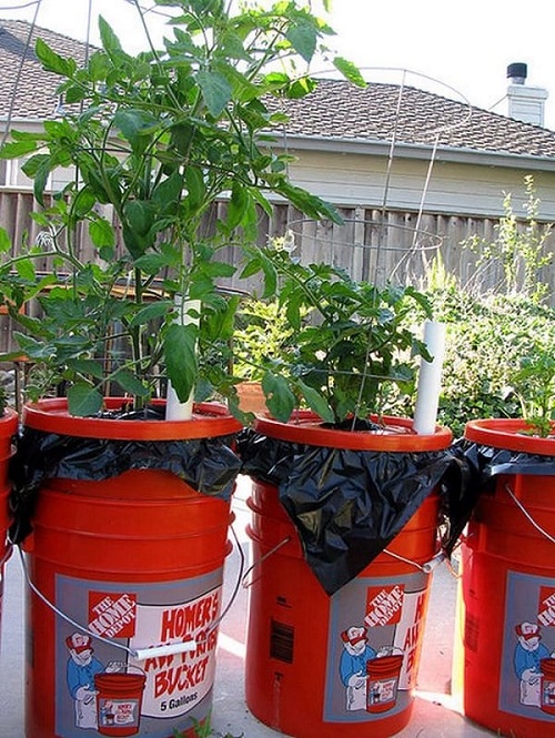 bucket uses Self-Watering Container