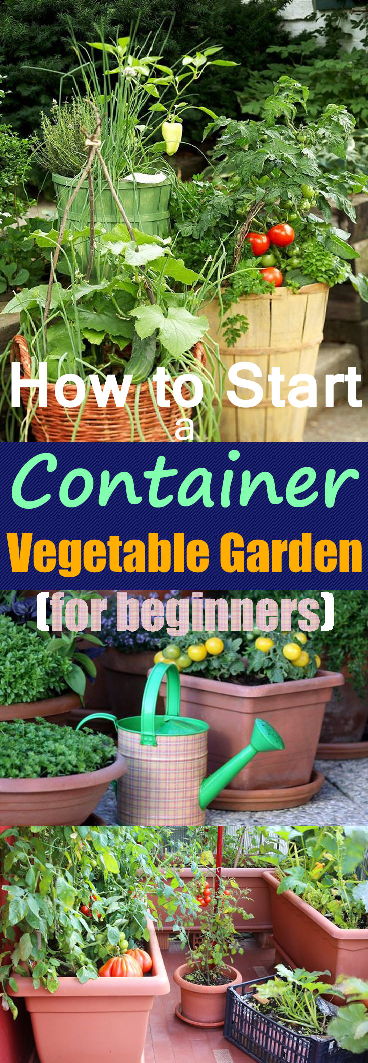 Growing Vegetables In Pots | Starting A Container Vegetable Garden ...