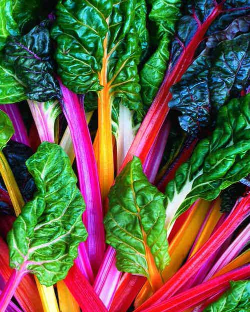 Most Colorful Vegetables 