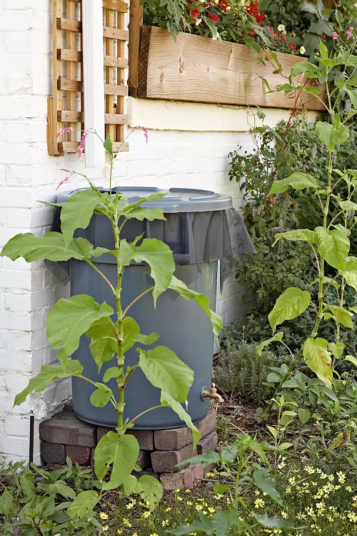 If You Have a Few Buckets You Can Use Them These Ways In The Garden