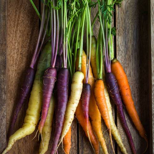 Most Colorful Vegetables in yard