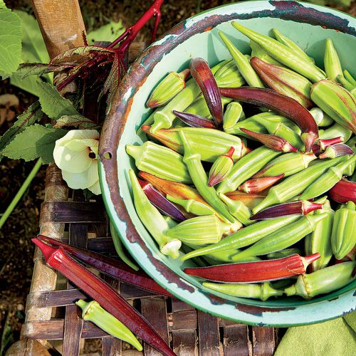 Most beautiful Colorful Vegetables You Need to Grow