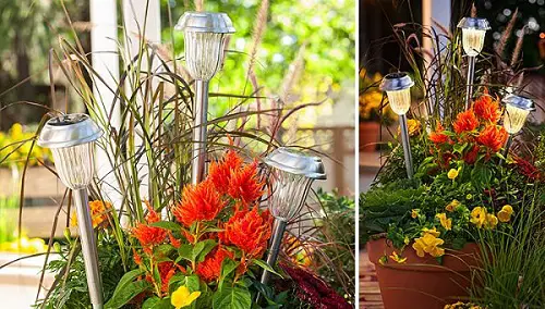 Solar Light Planter