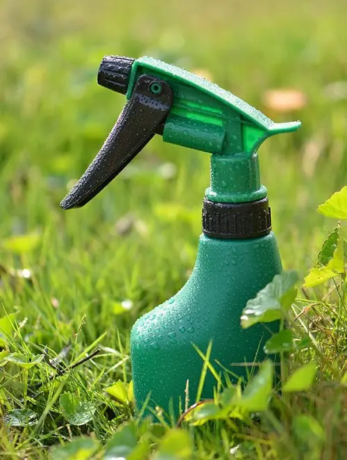 Enhance the Growth and Productivity of Plants