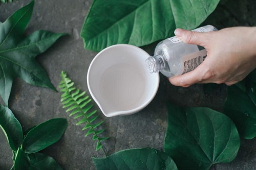 Glycerin Uses in the Garden Preserve Woody Stems