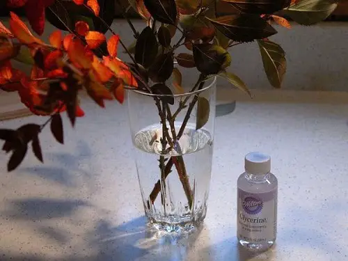 Preserve Flowers