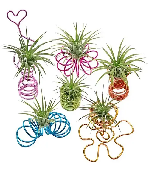 DIY Air Plant Holder with Wire