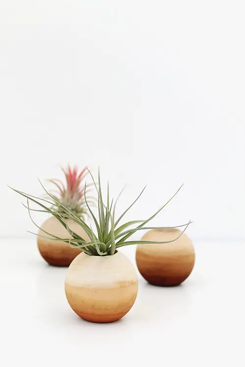 Mini Pots for Air Plants