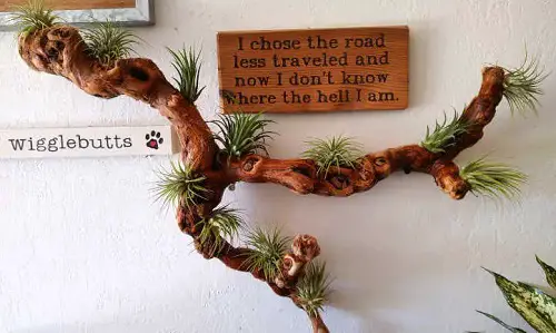Wood on a Wall