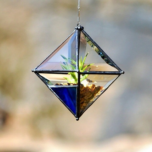 air plant Bevel Glass Pyramid