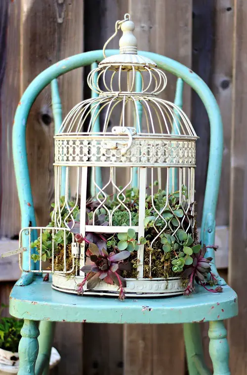 Most Beautiful Succulent Container Garden DIYs 