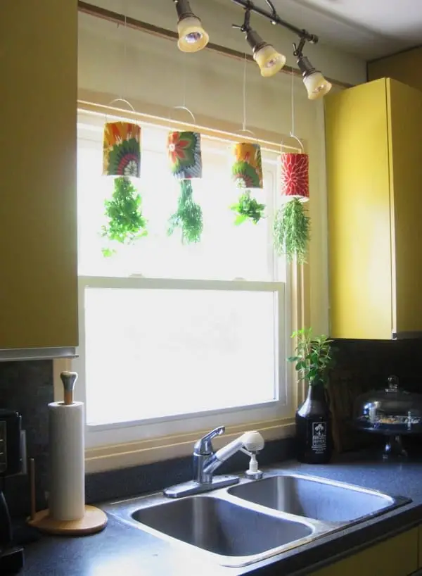 Diy Coffee Can Upside Down Herb Garden