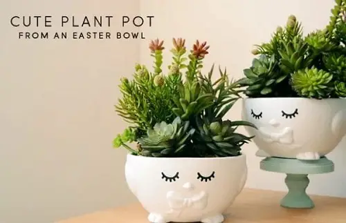 best Most Beautiful Succulent Container Garden DIYs 