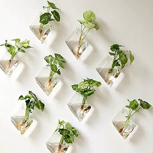 Floating Planters on Wall