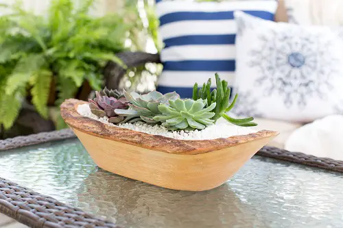 Beautiful Succulent Container Garden DIYs 