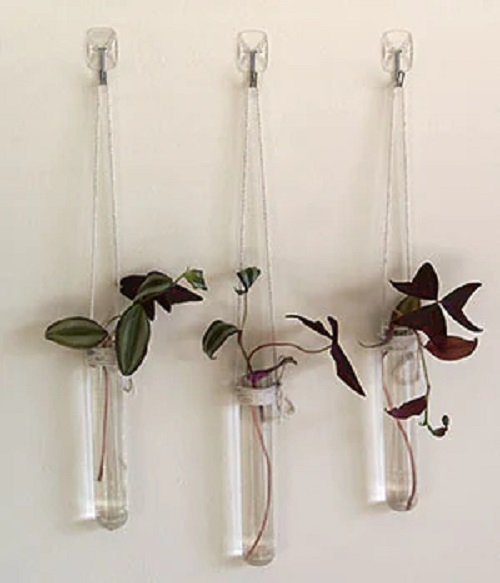 Hang Wandering Jew on Wall