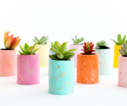 DIY Gold Splatter Succulent Planters