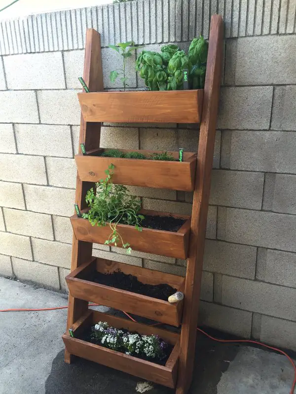 Diy Ladder Herb garden