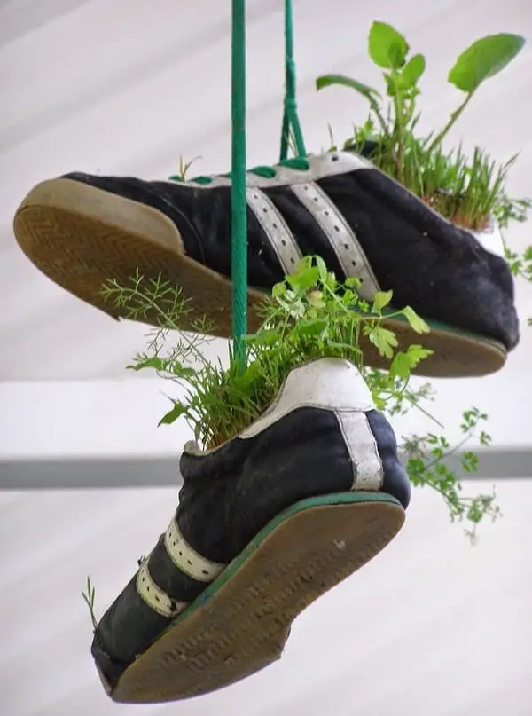 Old Shoes Hanging Herb Garden