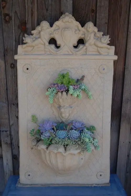 Diy Succulent Fountain garden