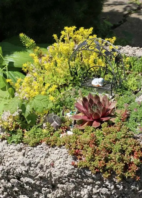 Diy Hypertufa Succulent Planters