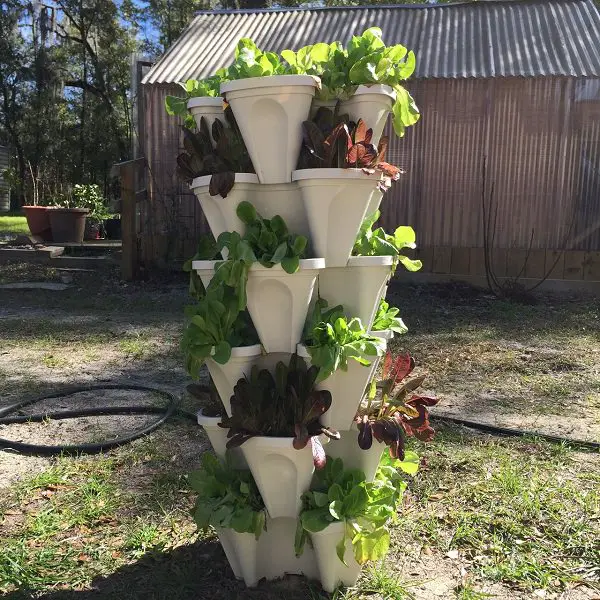 Stacked Pot Lettuce Vertical Garden