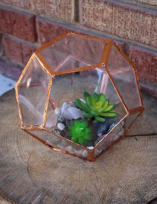 DIY CD Cases Terrarium