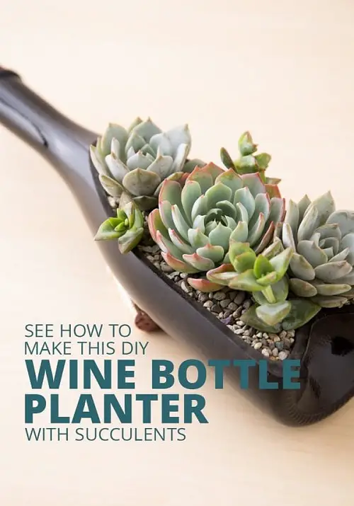 DIY Wine Bottle Planters