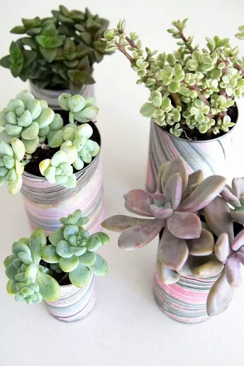 DIY Tin Can Planters