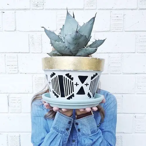 DIY Aztec Succulent Pots