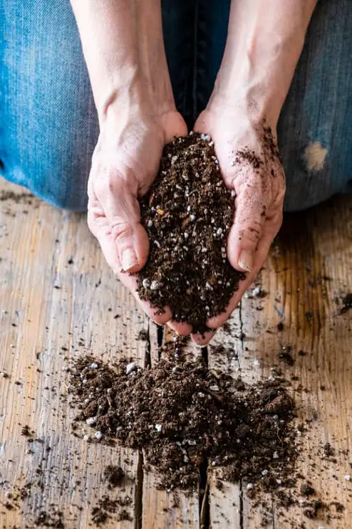 Avoid Using Regular Soil