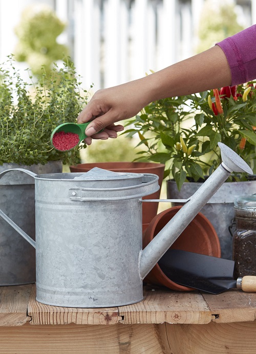 Fertilizing the Right Way