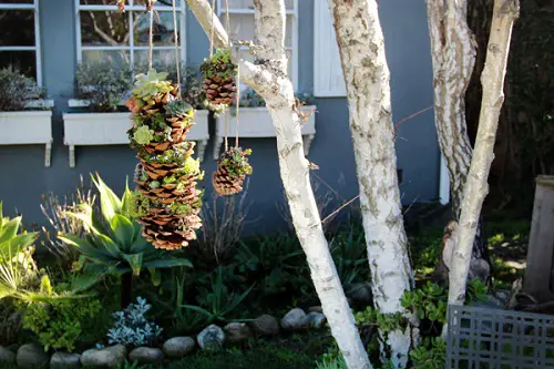 Diy Pine Cone Hanging Garden