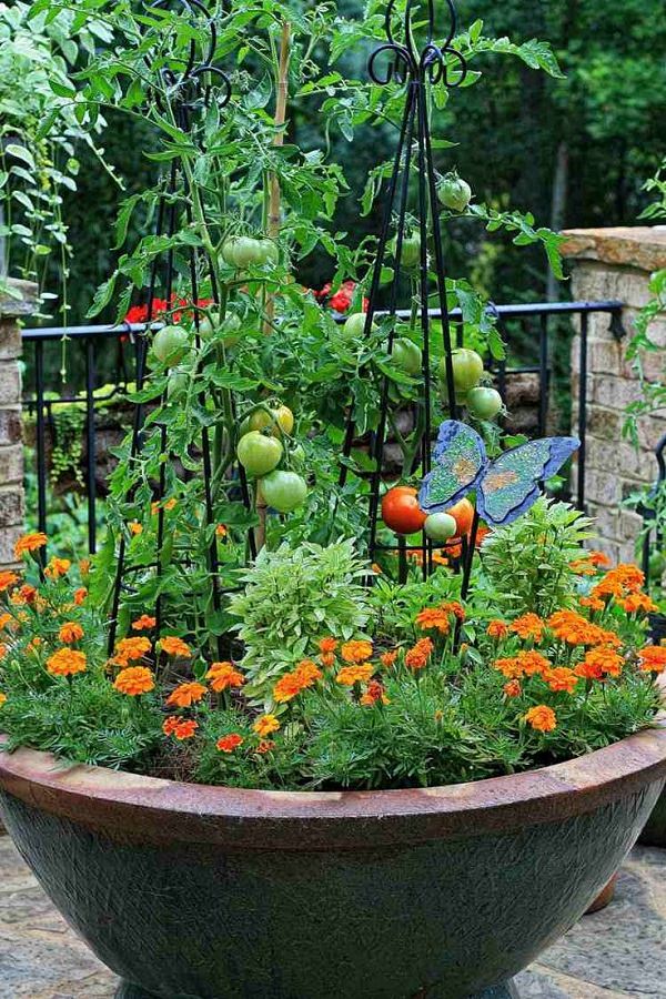 12 Great Tips For Starting A Kitchen  Garden  Every Beginner 