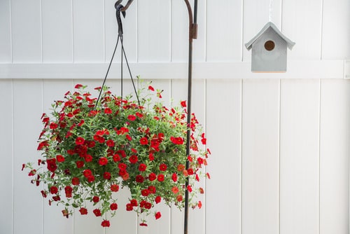 Container Gardening Arrangements 6