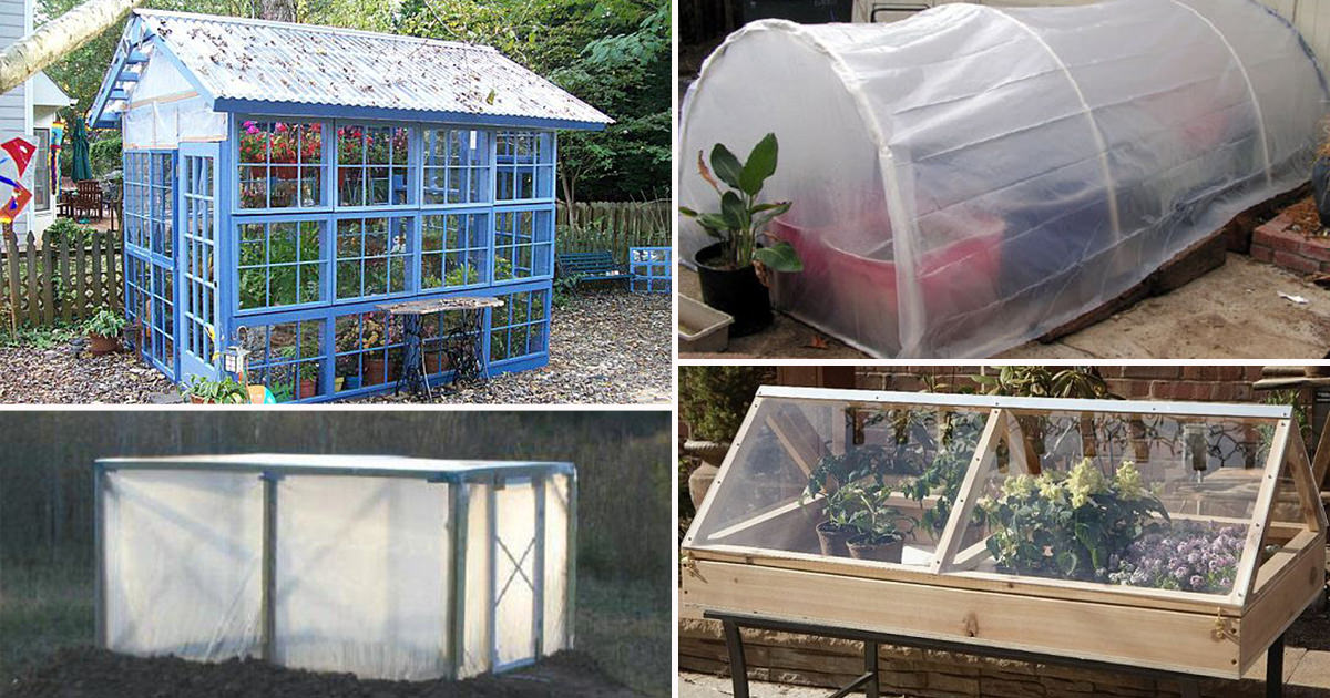 43 Budget Friendly DIY Greenhouse  Ideas  Balcony Garden Web