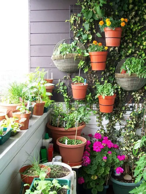 Amazing Activities for a Balcony
