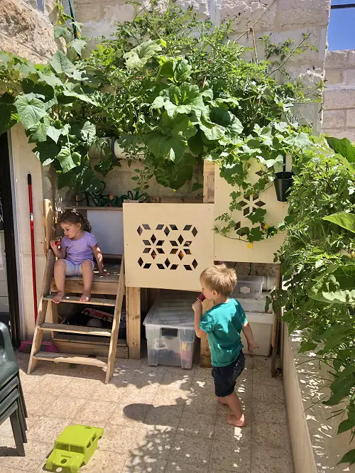 Go with a Hydroponic Garden