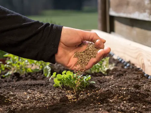 Bone Meal as a Fertilizer