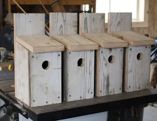 Bluebird Bird House DIY
