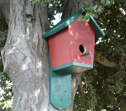 Redwood Birdhouse