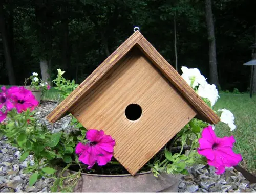 Wren Birdhouse