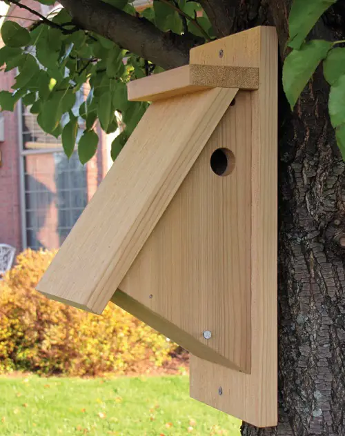 Birdhouse for Chickadees