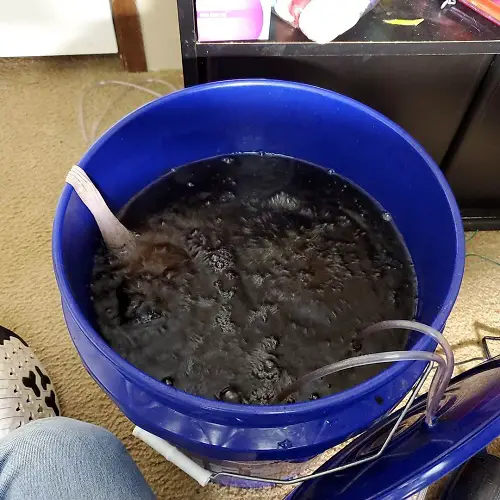 Preparing Bone Meal Tea
