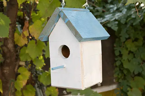 DIY Birdhouse